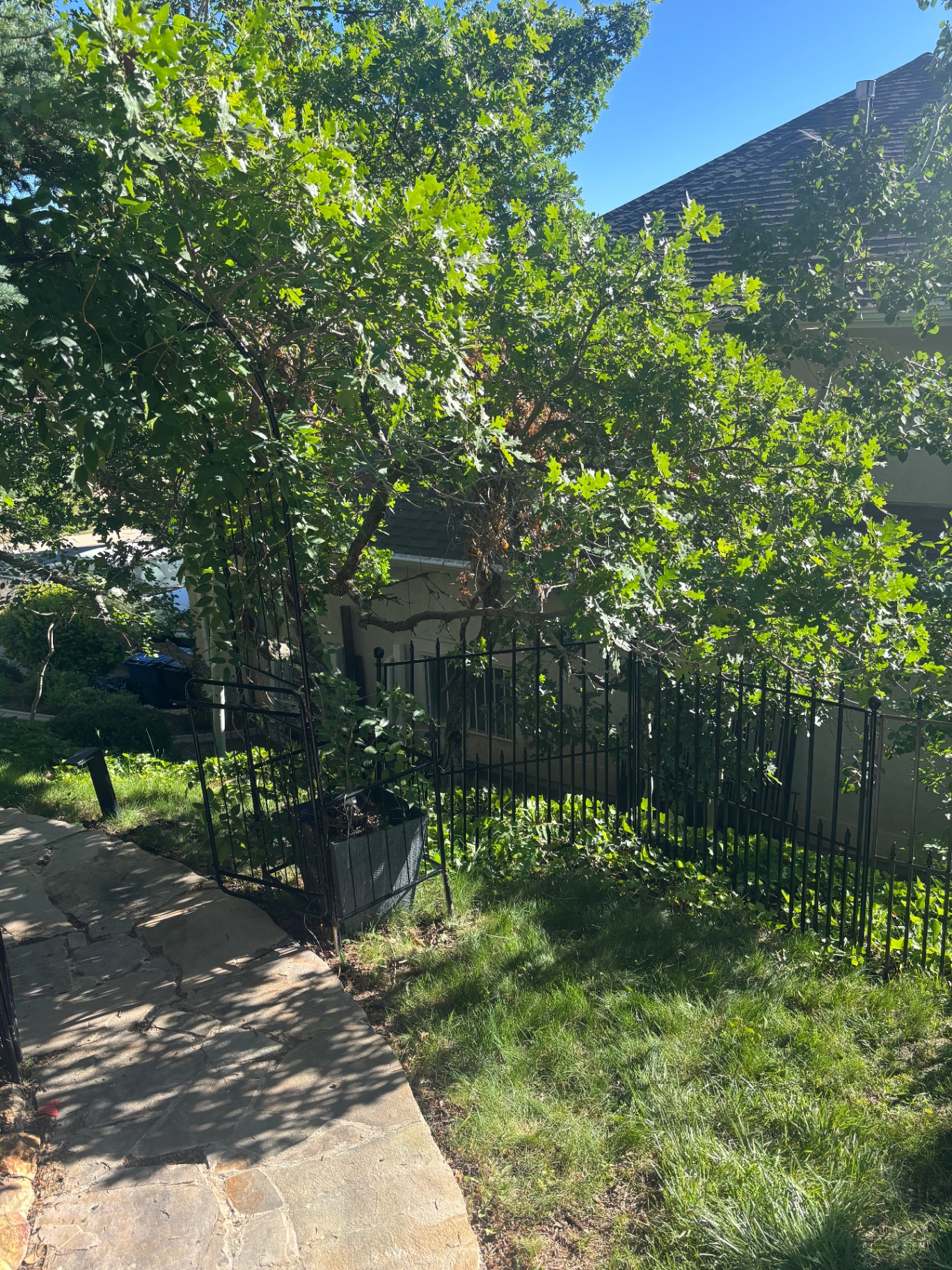 Musgrow Residence — Fence Install — thumbnail 6